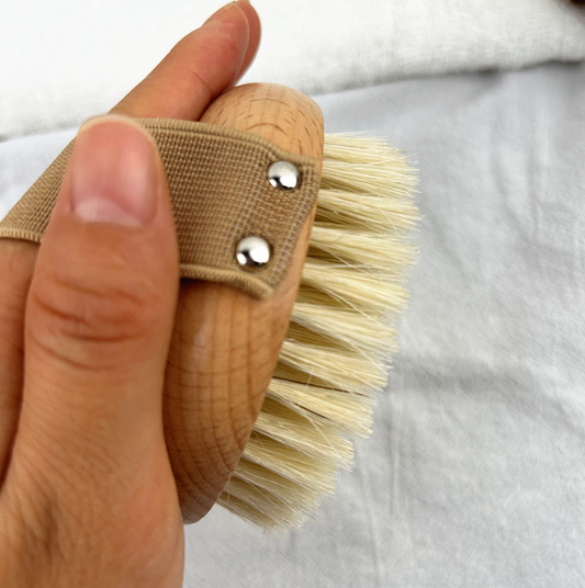 Natural Body Dry Brush Detox