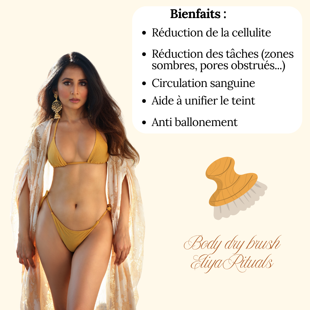 Natural Body Dry Brush Detox